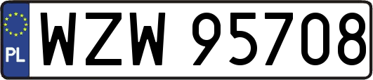 WZW95708