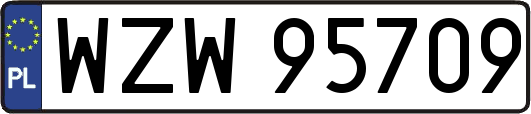 WZW95709