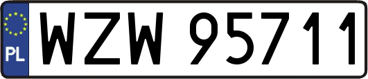 WZW95711
