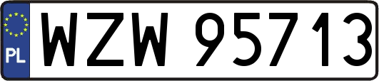 WZW95713