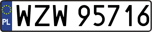 WZW95716