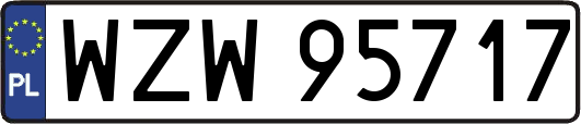 WZW95717
