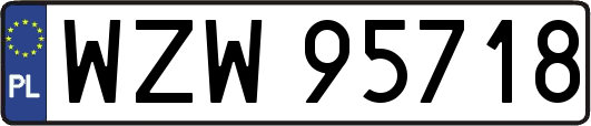 WZW95718