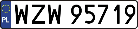 WZW95719