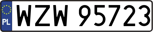 WZW95723