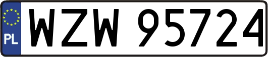 WZW95724