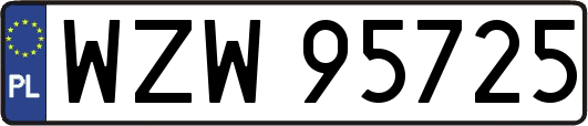 WZW95725