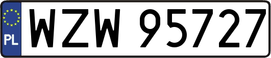 WZW95727