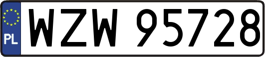 WZW95728