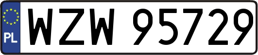 WZW95729