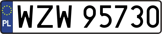 WZW95730