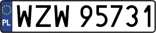 WZW95731