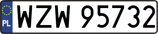 WZW95732