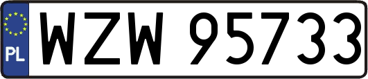 WZW95733