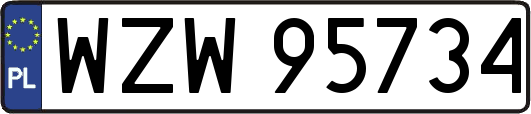 WZW95734