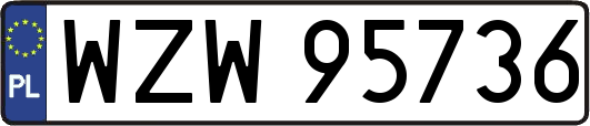 WZW95736