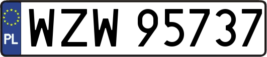 WZW95737