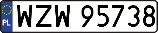 WZW95738