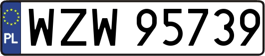 WZW95739