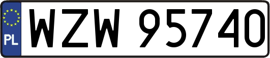 WZW95740