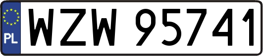 WZW95741