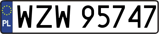 WZW95747