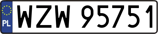 WZW95751