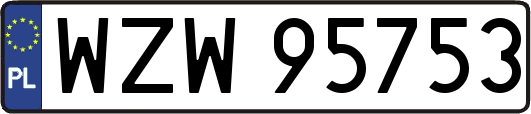 WZW95753