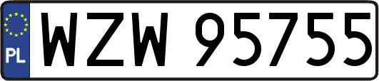 WZW95755