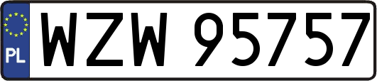 WZW95757
