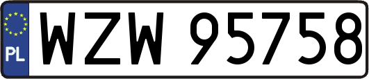 WZW95758