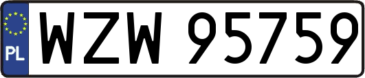 WZW95759