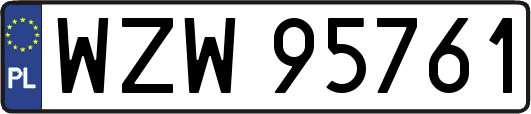 WZW95761