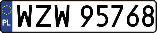 WZW95768