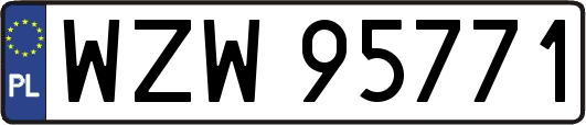 WZW95771
