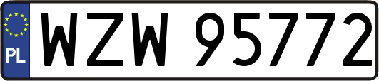 WZW95772