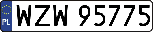 WZW95775