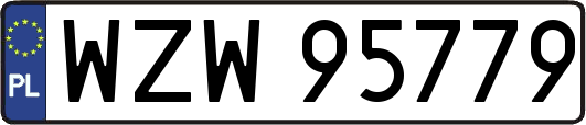 WZW95779