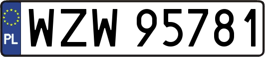 WZW95781