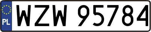 WZW95784
