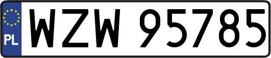 WZW95785