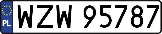 WZW95787