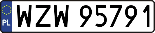 WZW95791