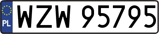 WZW95795