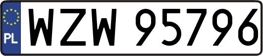WZW95796