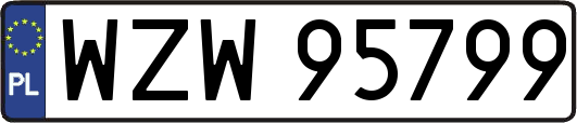 WZW95799