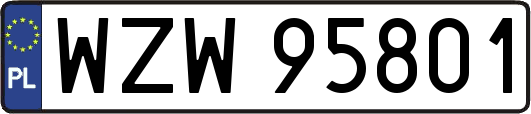 WZW95801