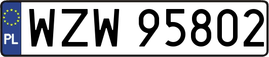 WZW95802