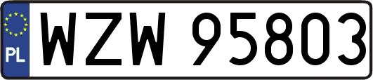 WZW95803