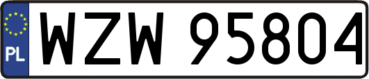 WZW95804